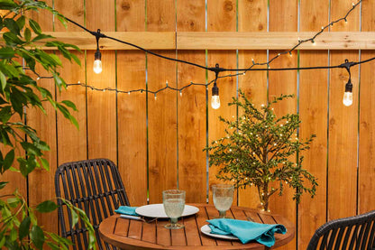 Solar Festoon Lights - 50% OFF – Limited Time Offer!