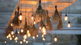 Solar Festoon Lights - 50% OFF – Limited Time Offer!